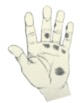 Pasted Graphic 4